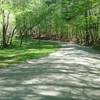 Intersection of the trail with Reedy Creek Lake