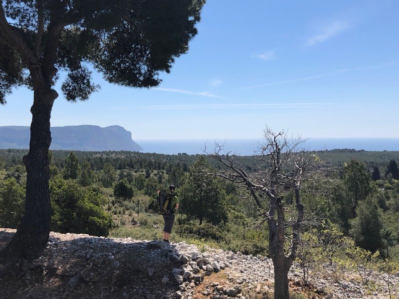 Up high on the way to Calanque d'En Vau