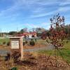 Northern entrance to Hector H. Henry II Greenway (Weddington Road) near Dog Park