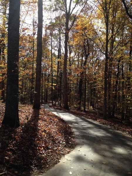 Beginning of Hector H. Henry II Greenway (Weddington Road) in a forested area