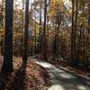 Beginning of Hector H. Henry II Greenway (Weddington Road) in a forested area