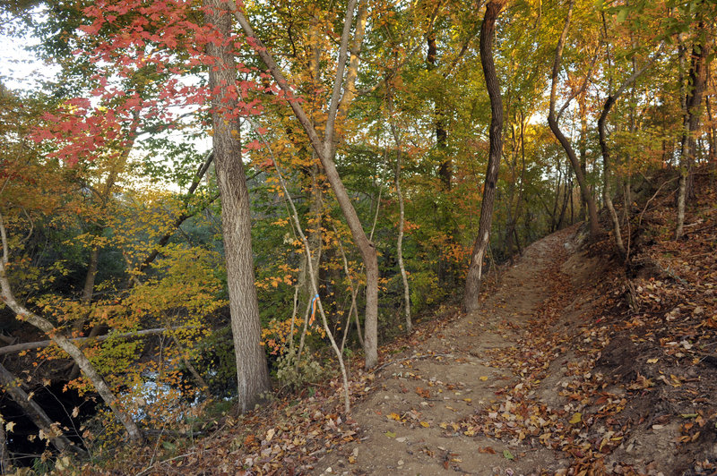 Twelve Mile Creek Trail