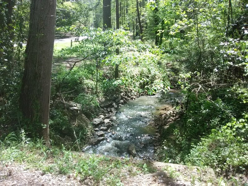 Southwest prong Beaver Dam Creek.