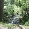 Southwest prong Beaver Dam Creek.