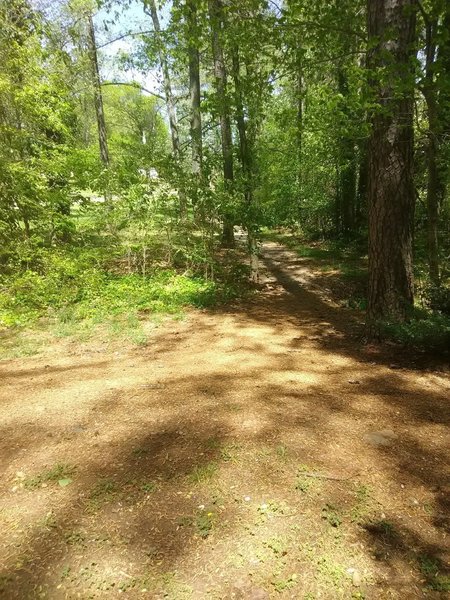 Looking down the trail