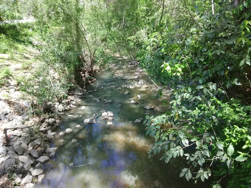 Bridge view over Southwest Prong Beaver Dam Creek