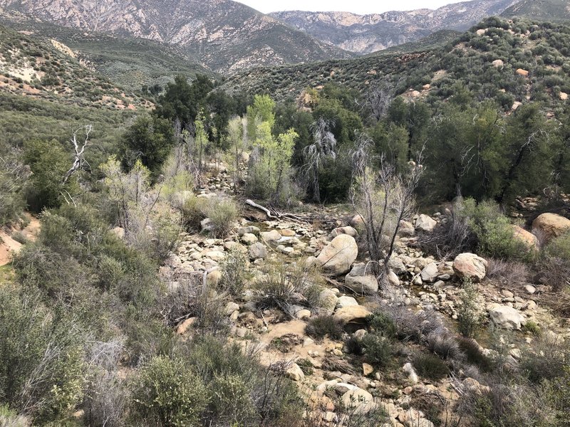 Looking down the valley