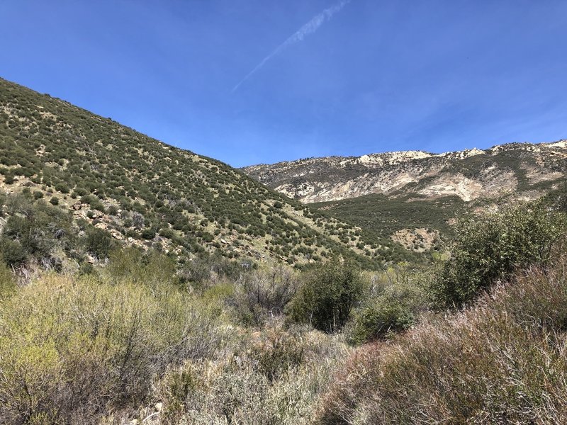 View of the mountains