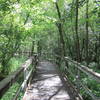 Hickory Greenway boardwalk