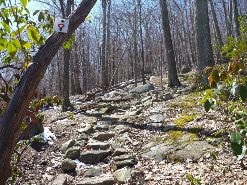 trail and marker