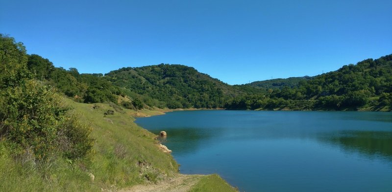 Guadalupe Reservoir in April. Orange monkey flowers bloom on the bush at the left.