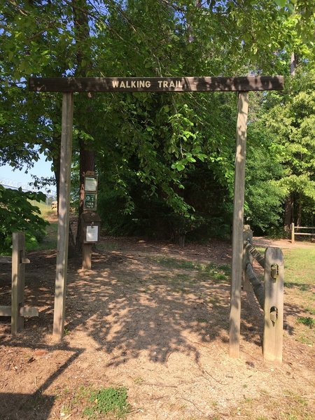 Ellis Park Walking Trail