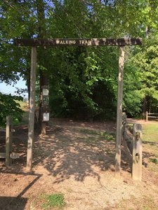 Newest Hiking Trails near Hemby Bridge, North Carolina