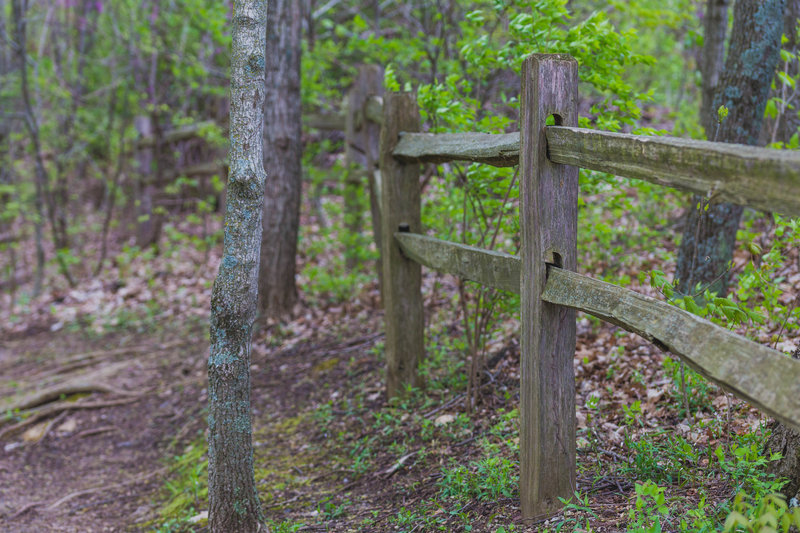 a fence along the highest elevation of the trail