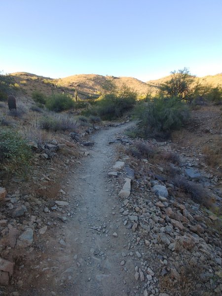 The hike gradually gets steeper as you head up toward Ridgeline. I saw a few mountain bikers and hikers but the trail is far less crowded than the Mormon Trail.