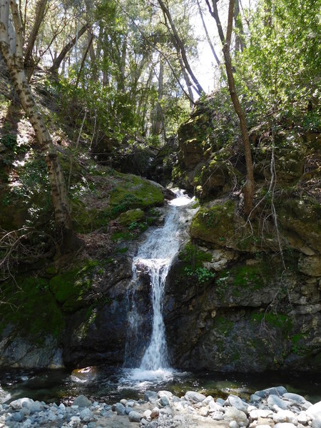 Waterfall along West Fork.