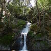 Waterfall along West Fork.