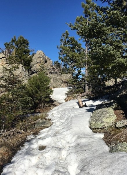 Snow covered trail