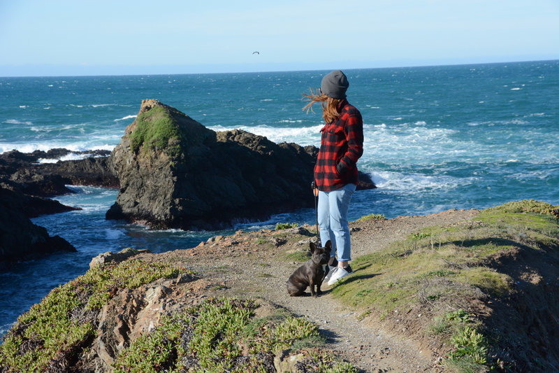 A perfect winter day at Mendocino