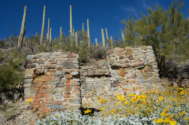 Remains of a structure at Gould Mine