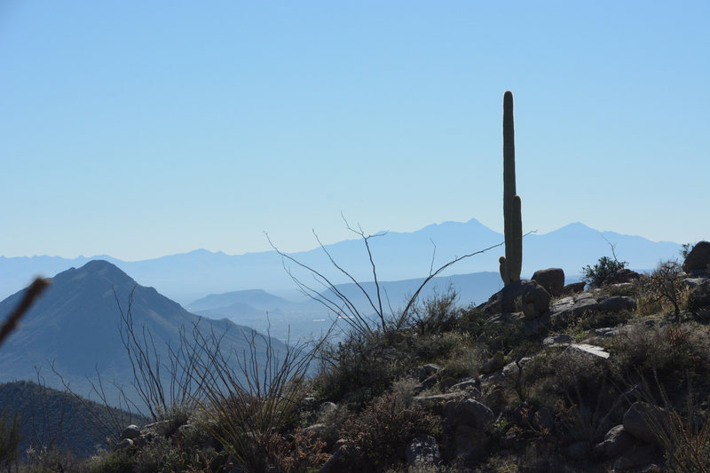 View across the valley with Tucson