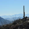 View across the valley with Tucson