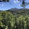 View of Mt. Tam