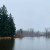 Overlooking Lily Pond