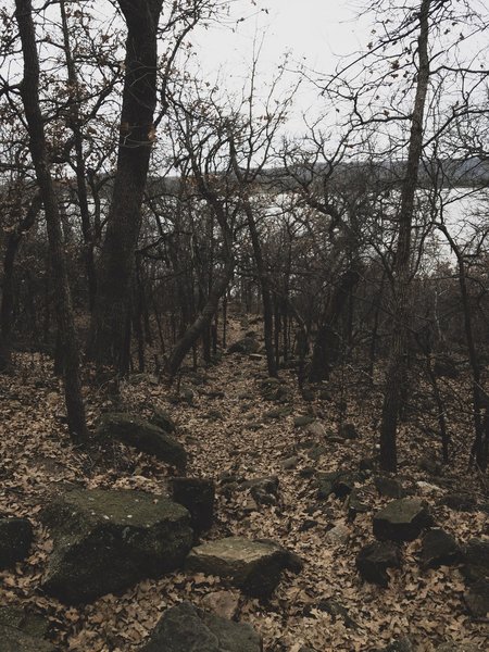 Down the trail to the lake