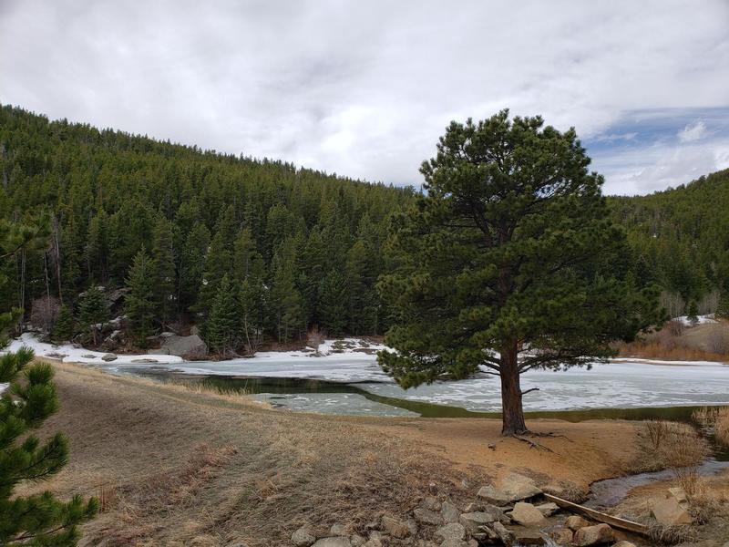 Mountain Lake along side Mountain Lion Trail.