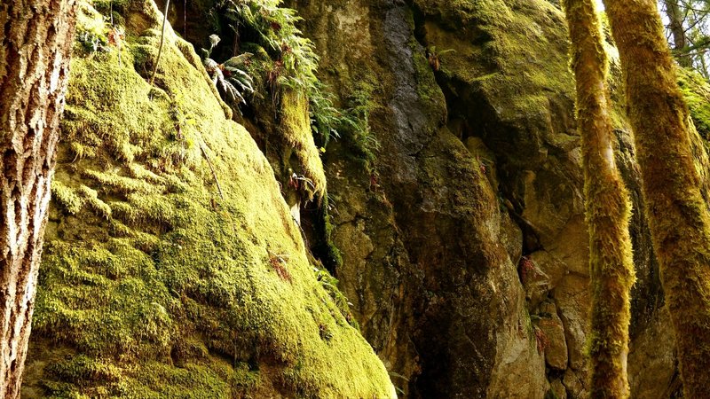 Close up of some boulder wall. Water seeping down the middle.