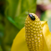 With the warming weather, a few more bugs are coming out to explore their piece of the world