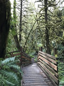 One of the many bridges