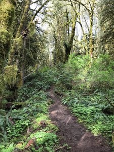 Most of the trail is this type of 1.5 track