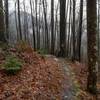 The Huskey Gap Trail descends toward the Little River Trail on a rainy winter day.