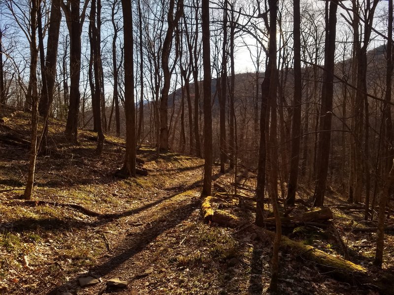 Sunrise just below Jake's Gap on the Jakes Creek Trail