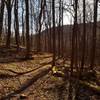 Sunrise just below Jake's Gap on the Jakes Creek Trail