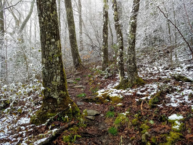 A snowy Spring day on the Jenkins Ridge Trail