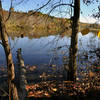 Waterfowl Impoundment at Forney Creek Trail.