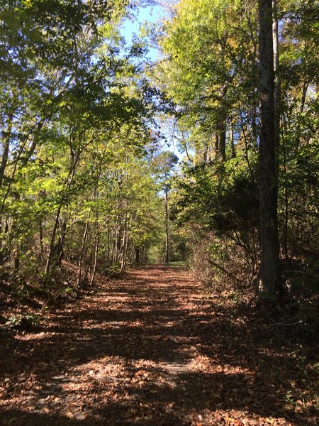 Gold Hill Rail Trail