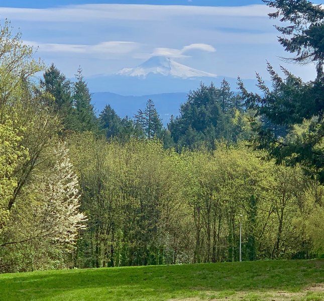 Mount Hood from Council Crest