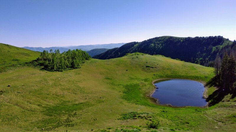 Nice pond at the top of Maple Canyon