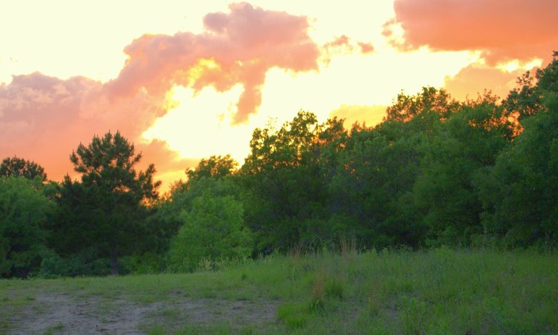 Bunker lake park sunset.