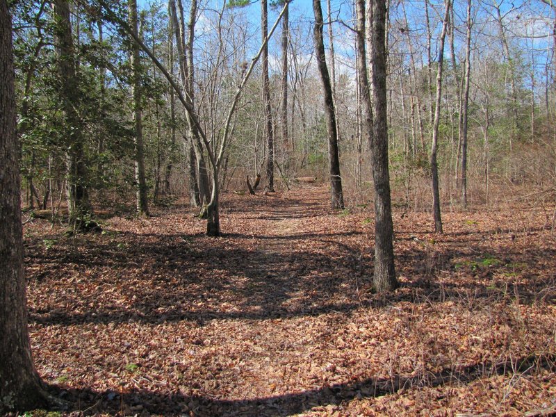 Part of the White Oak Road Battlefield trail.