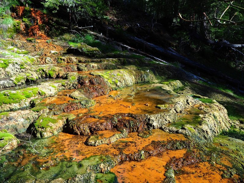 Dead Indian Soda Springs