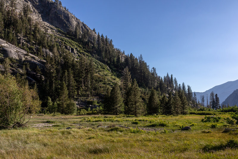 Castle Domes Meadow