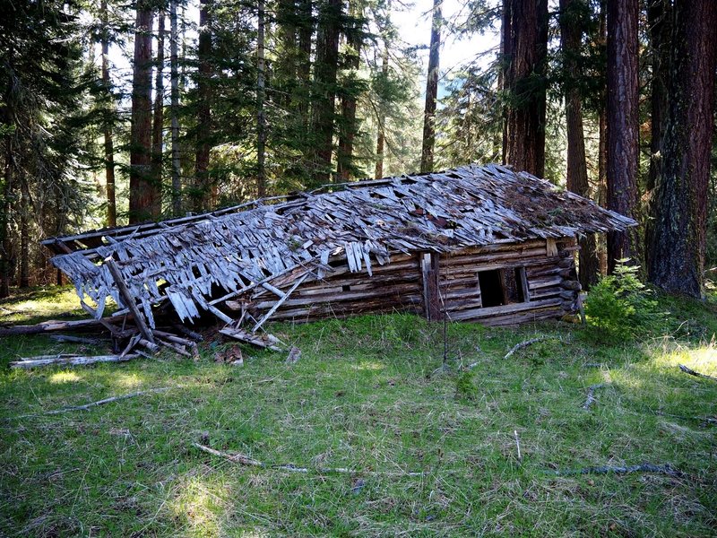 The shed and food cooler is the only building still standing at the Dunlop Ranch.