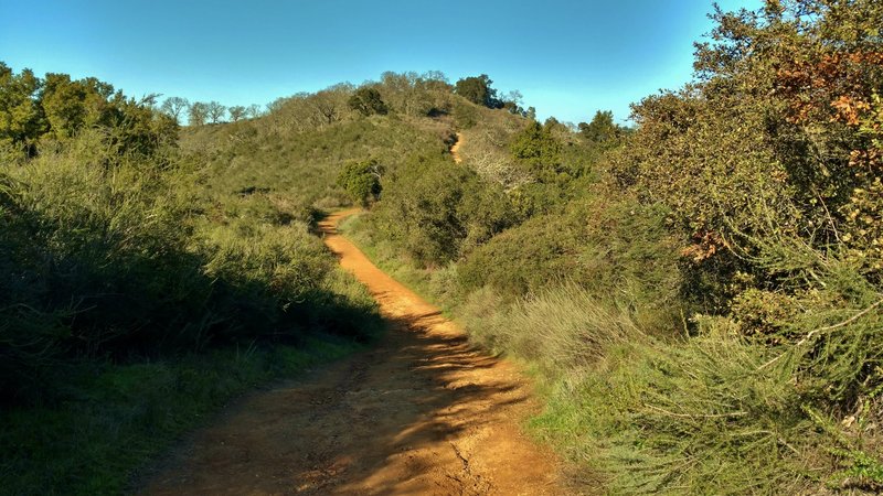 Capehorn Pass Trail climbs steeply to meet Hacienda Trail.