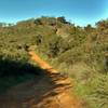 Capehorn Pass Trail climbs steeply to meet Hacienda Trail.