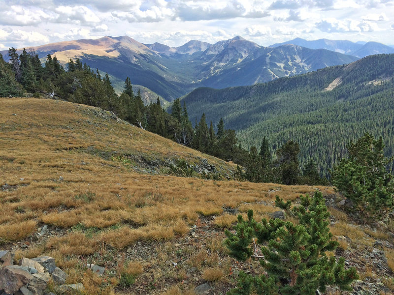 Where the trail climbs out of the canyon, this is the view looking east toward Wheeler Peak and the ski resort.